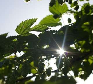 Sustainability at the Stockalperhof Brig