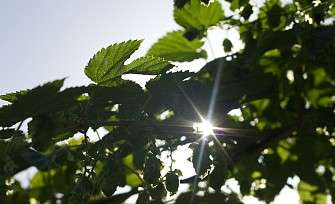 Sustainability at the Stockalperhof Brig